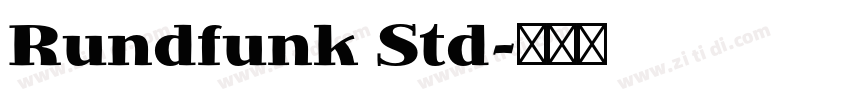 Rundfunk Std字体转换